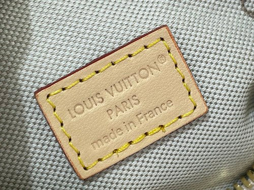 Louis Vuitton Speedy Bandoulière 20-style bag