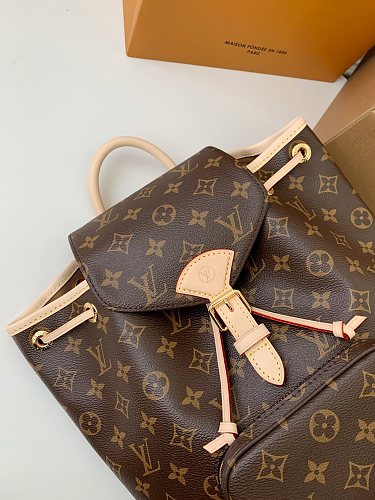 Louis Vuitton Nano Noé in Monogram Canvas