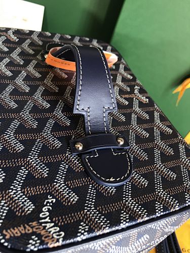 Goyard Goyardine Train Case