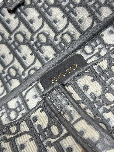 Dior Saddle Bag with Strap