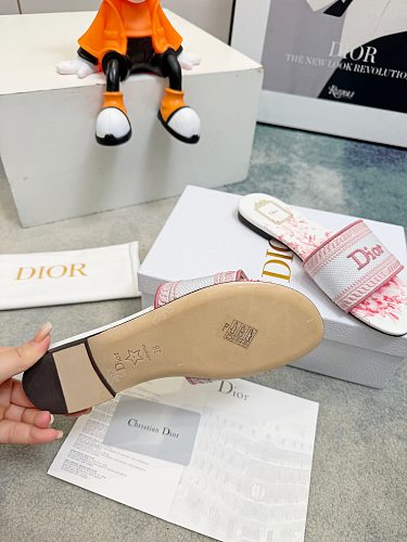 Dior Dway Slide Sandals