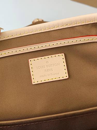 Louis Vuitton Nano Noé in Monogram Canvas