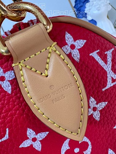 Louis Vuitton Speedy Bandoulière 25