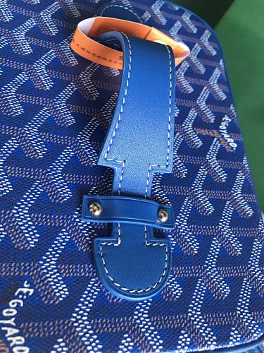 Goyard Goyardine Train Case