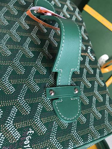 Goyard Goyardine Train Case
