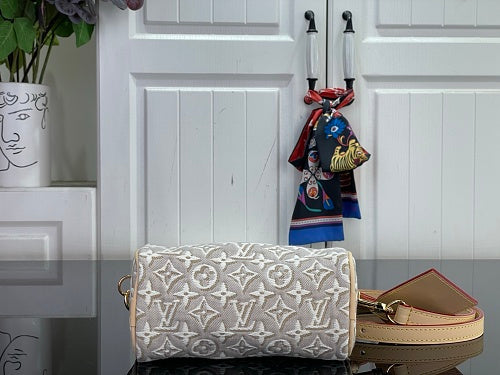 Louis Vuitton Speedy Bandoulière 20-style bag