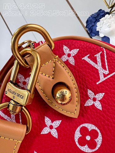 Louis Vuitton Speedy Bandoulière 25