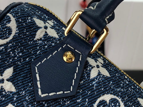 Louis Vuitton Speedy Bandoulière-style bag
