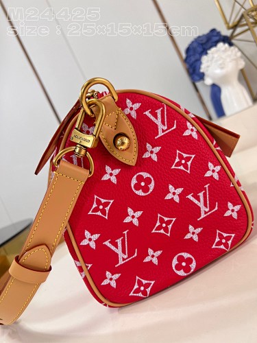 Louis Vuitton Speedy Bandoulière 25