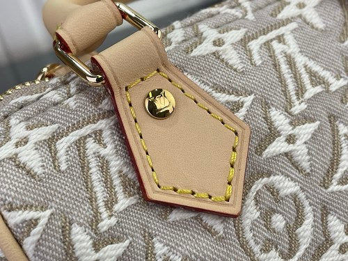 Louis Vuitton Speedy Bandoulière 20-style bag