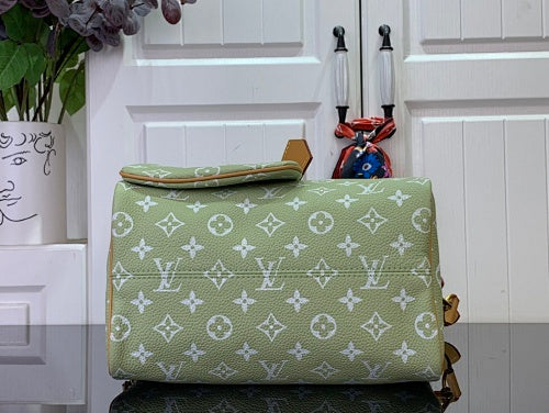 Louis Vuitton Speedy Bandoulière 20