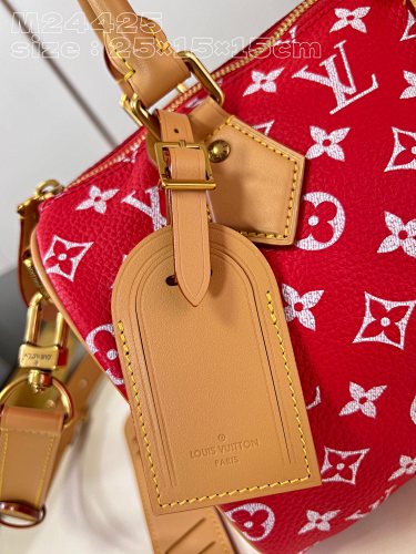 Louis Vuitton Speedy Bandoulière 25