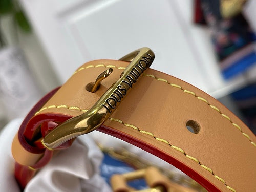 Louis Vuitton Speedy P9 Bandoulière 25