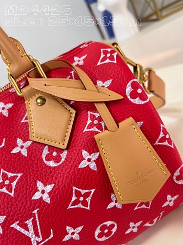 Louis Vuitton Speedy Bandoulière 25