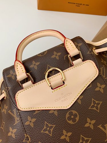 Louis Vuitton Nano Noé in Monogram Canvas