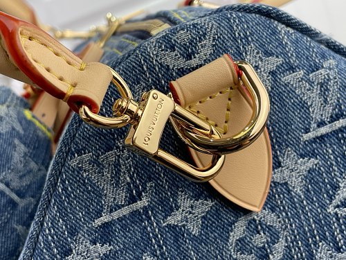 Louis Vuitton Speedy Bandoulière