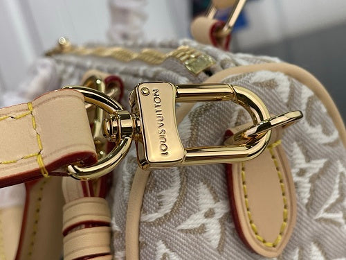 Louis Vuitton Speedy Bandoulière 20-style bag
