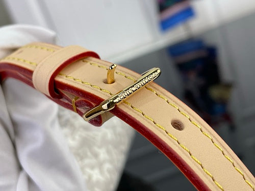 Louis Vuitton Speedy Bandoulière 20-style bag