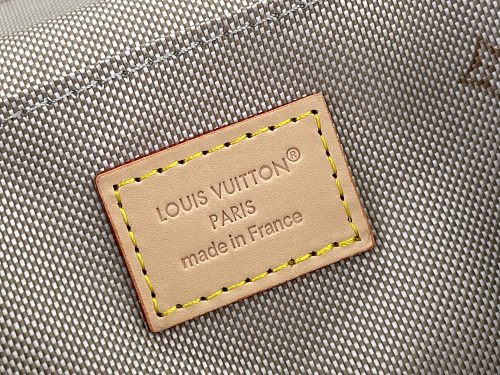 Louis Vuitton Nice Vanity-style case