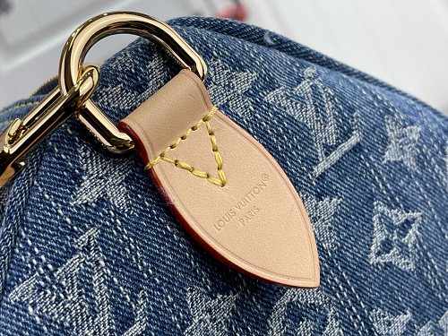 Louis Vuitton Speedy Bandoulière
