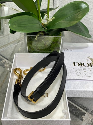 Dior Saddle Bag with Strap