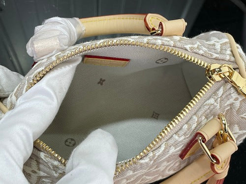 Louis Vuitton Speedy Bandoulière 20-style bag